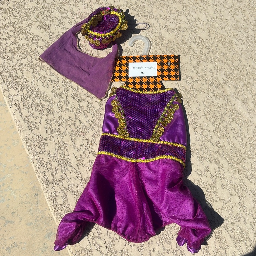 Maggie Waggie Belly Dancer Dog Costume Purple Gold Sequin Size Small NWT